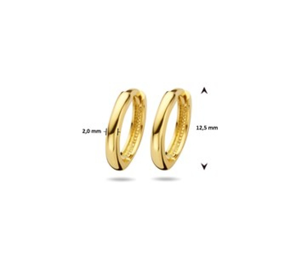 echt-gouden-creolen-2-mm-breed