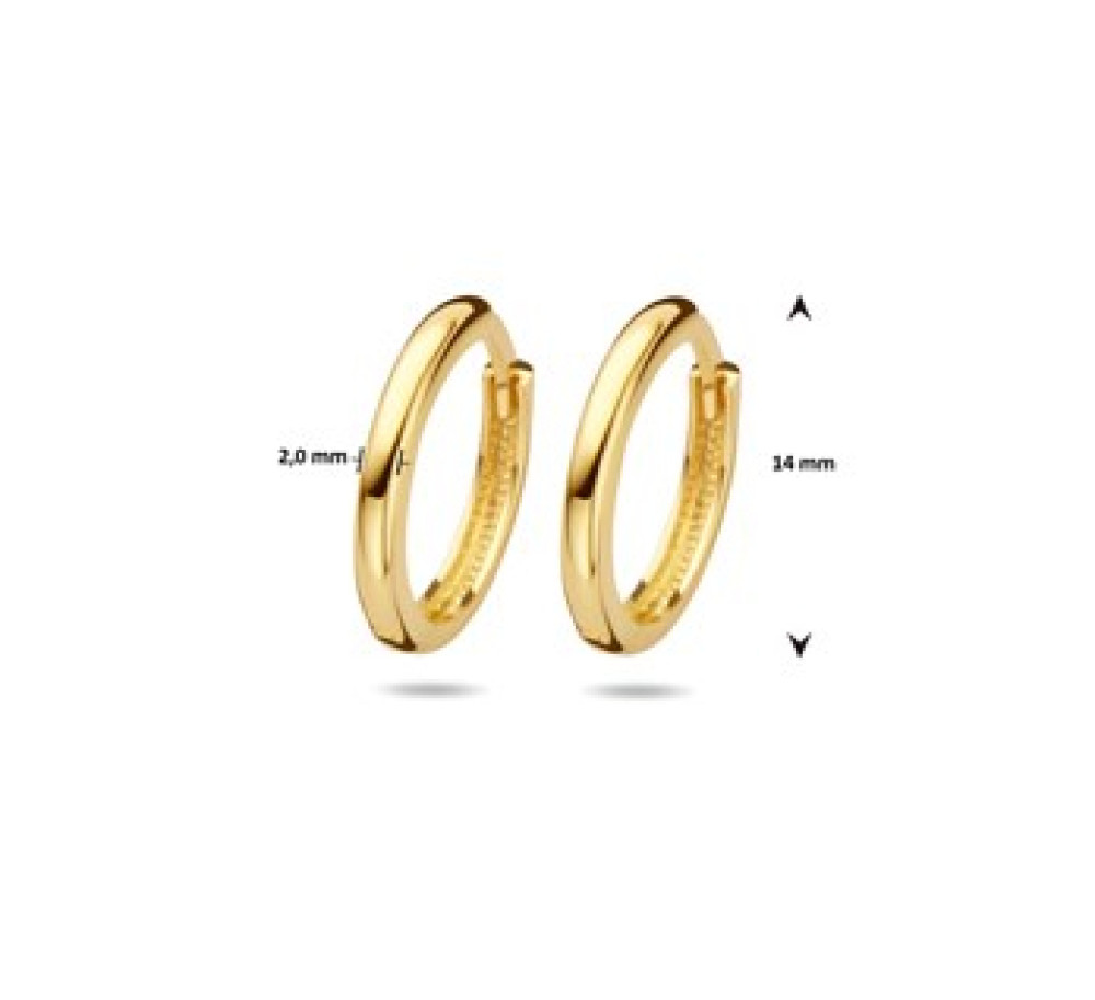 echt-gouden-creolen-2-mm-breed