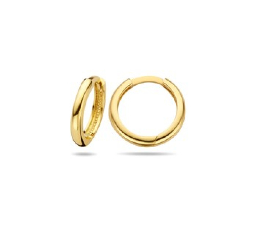 echt-gouden-creolen-2-mm-breed