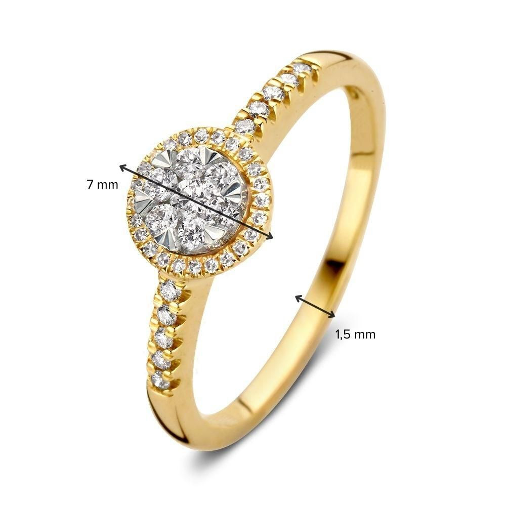 entourage-ring-van-14-karaat-goud-met-diamanten-in-speelse-zetting-0-24-crt