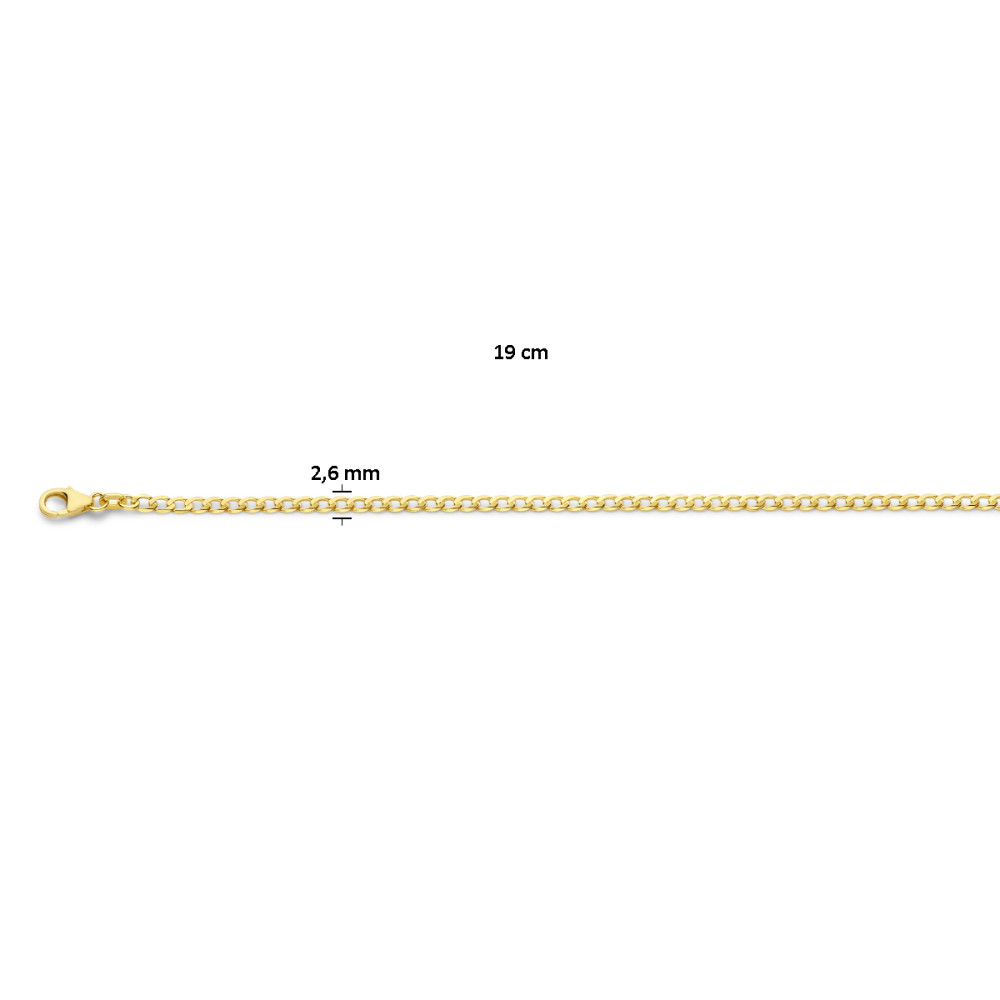 fijne-en-glanzende-14-karaat-gouden-gourmet-schakelarmband-2-6-mm-breed