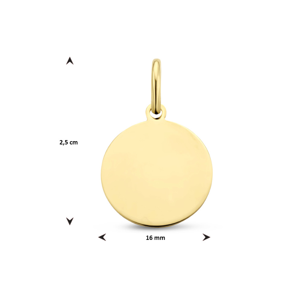 glanzende-gouden-graveerhanger-rondje-hoogte-25-mm