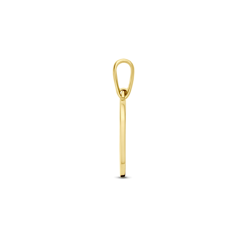 gouden-geboortebloem-hanger-12-mm-breed-hoogte-18-mm/maand-juli