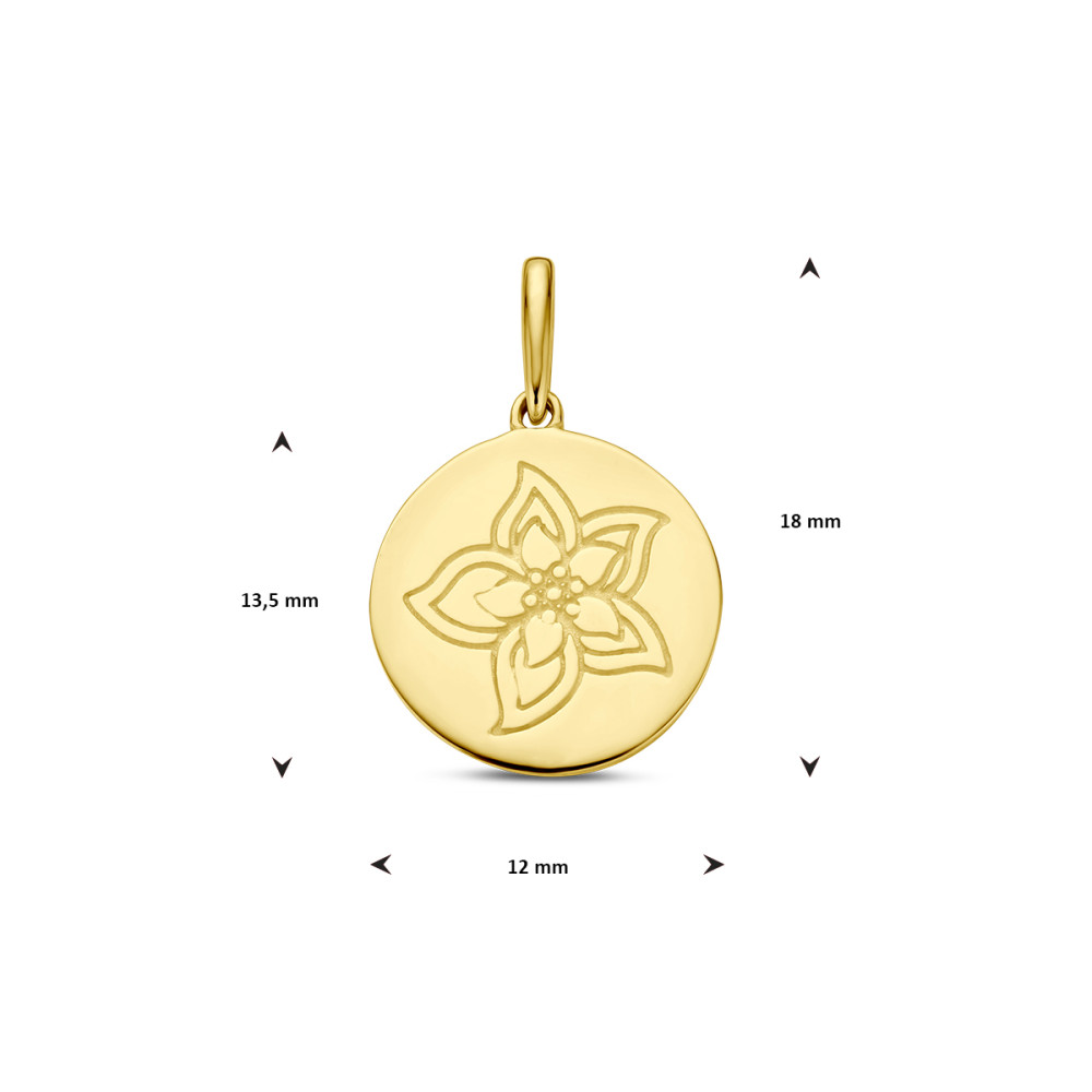 gouden-geboortebloem-hanger-12-mm-breed-hoogte-18-mm/maand-juli