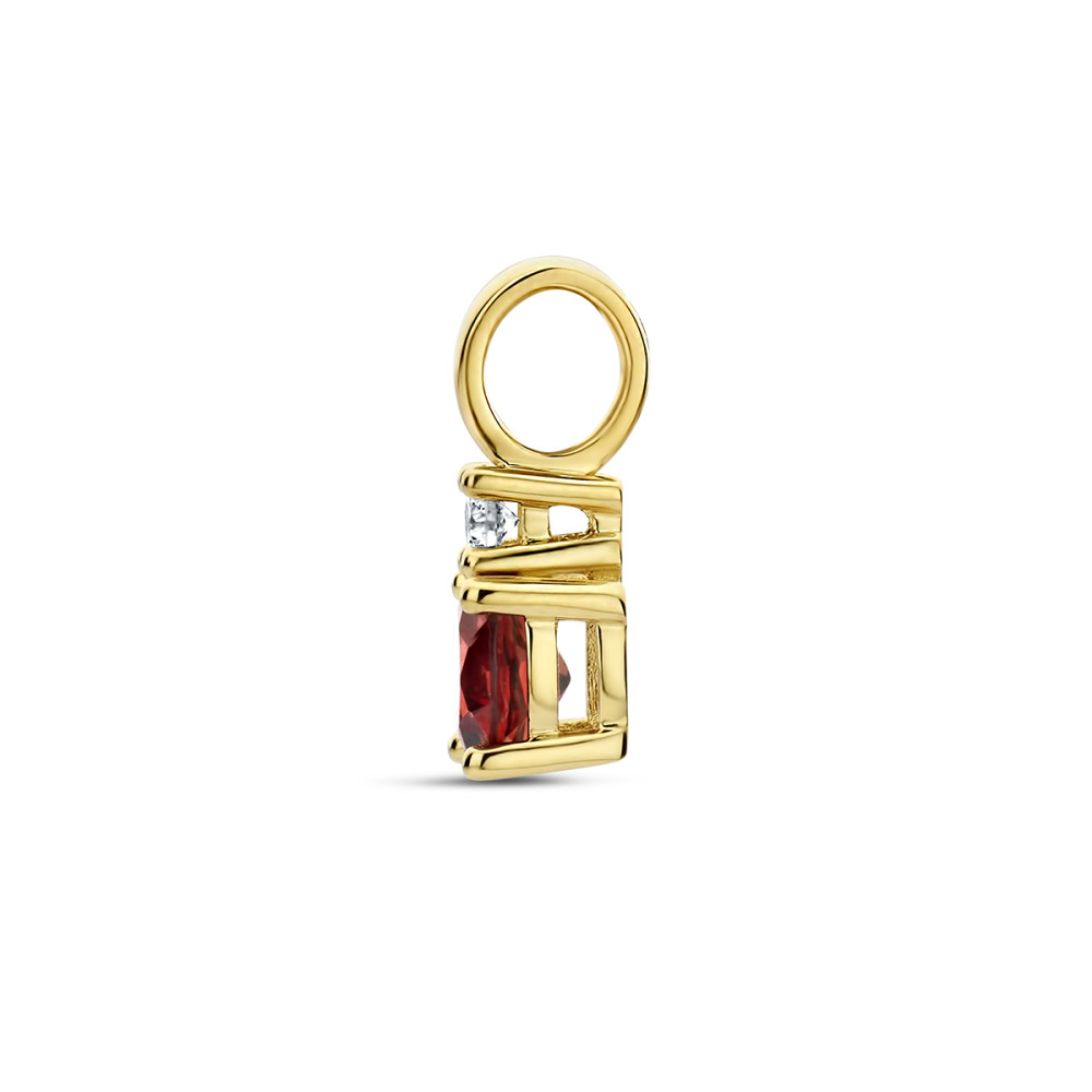 gouden-geboortesteen-hanger-met-diamant-0-02-crt-hoogte-10-5-mm/maand-januari