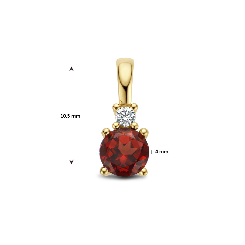 gouden-geboortesteen-hanger-met-diamant-0-02-crt-hoogte-10-5-mm/maand-januari