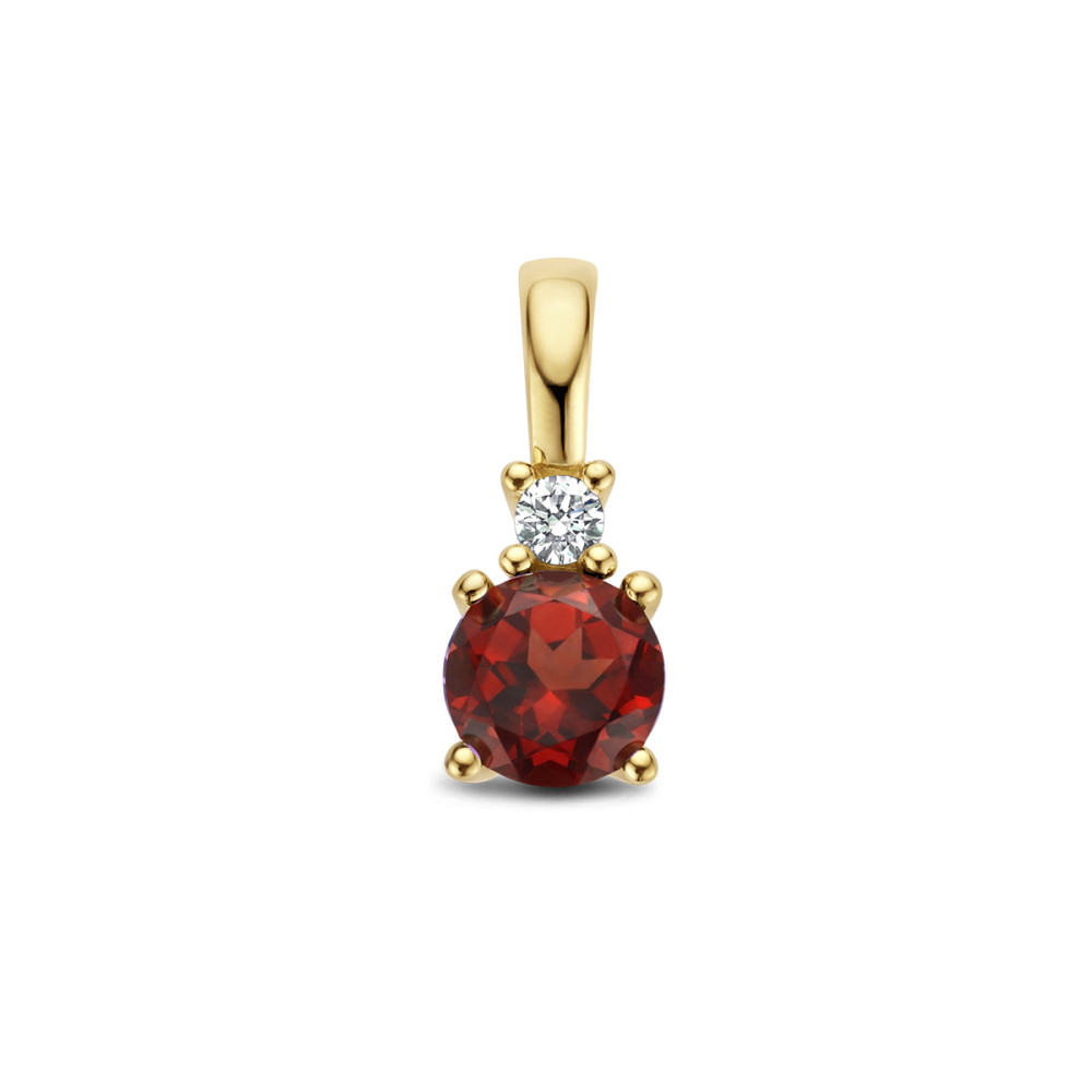 gouden-geboortesteen-hanger-met-diamant-0-02-crt-hoogte-10-5-mm/maand-januari