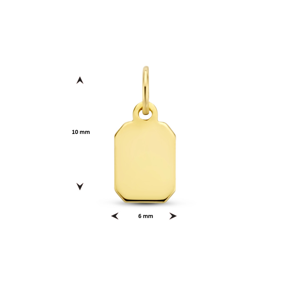 gouden-graveerhanger-14-karaat-glanzend-rechthoek-dames-6-mm-breed-x-10-mm-hoog