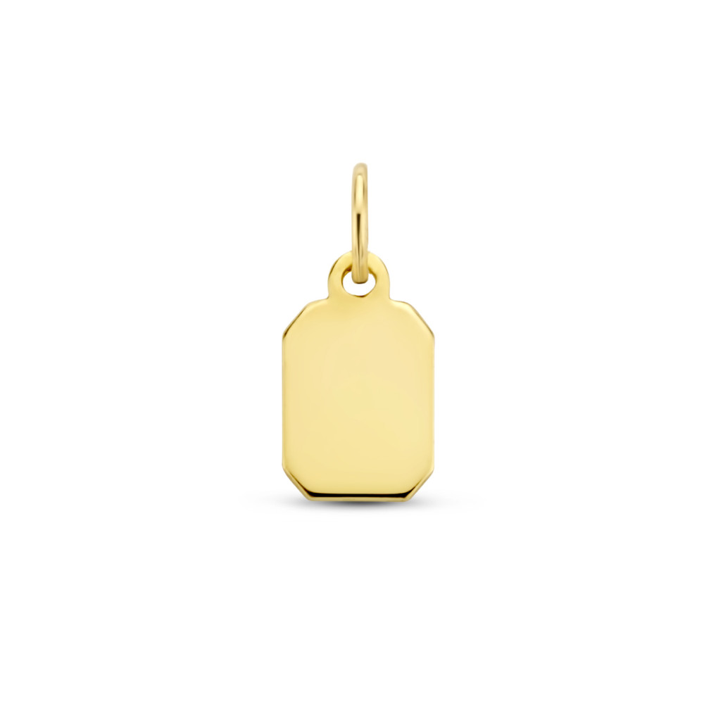 gouden-graveerhanger-14-karaat-glanzend-rechthoek-dames-6-mm-breed-x-10-mm-hoog