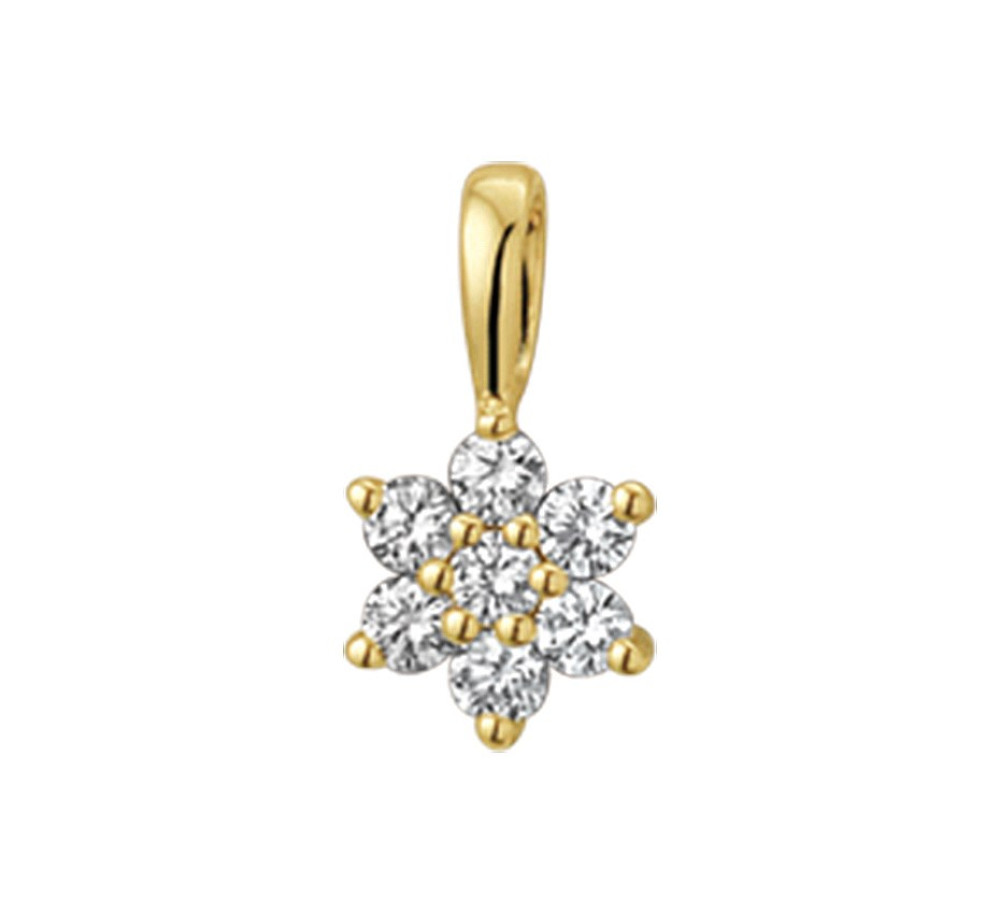 gouden-hanger-met-bloem-en-diamanten-10-mm-x-6-mm