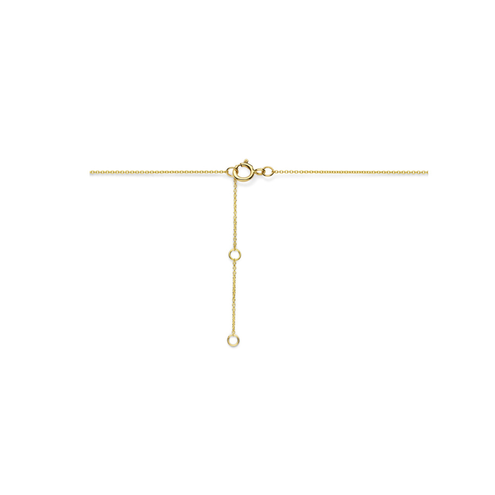 gouden-ketting-met-ronde-hanger-en-lab-grown-diamanten-0-49-crt-lengte-40-cm-42-cm-44-cm