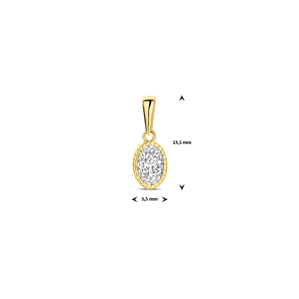 gouden-ovale-hanger-met-transparante-zirkonia-steen-hoogte-13-5-mm