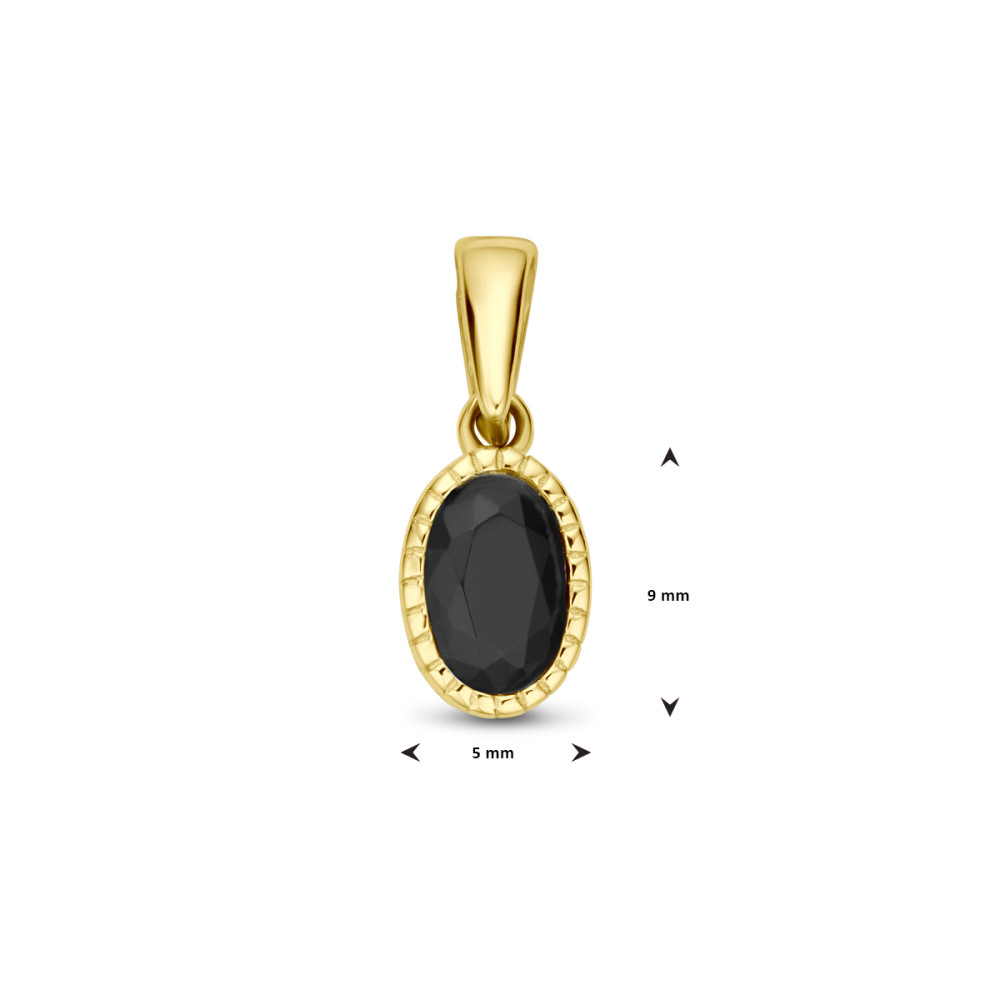 gouden-ovale-hanger-met-zwarte-zirkonia-5-mm-breed-hoogte-14-mm