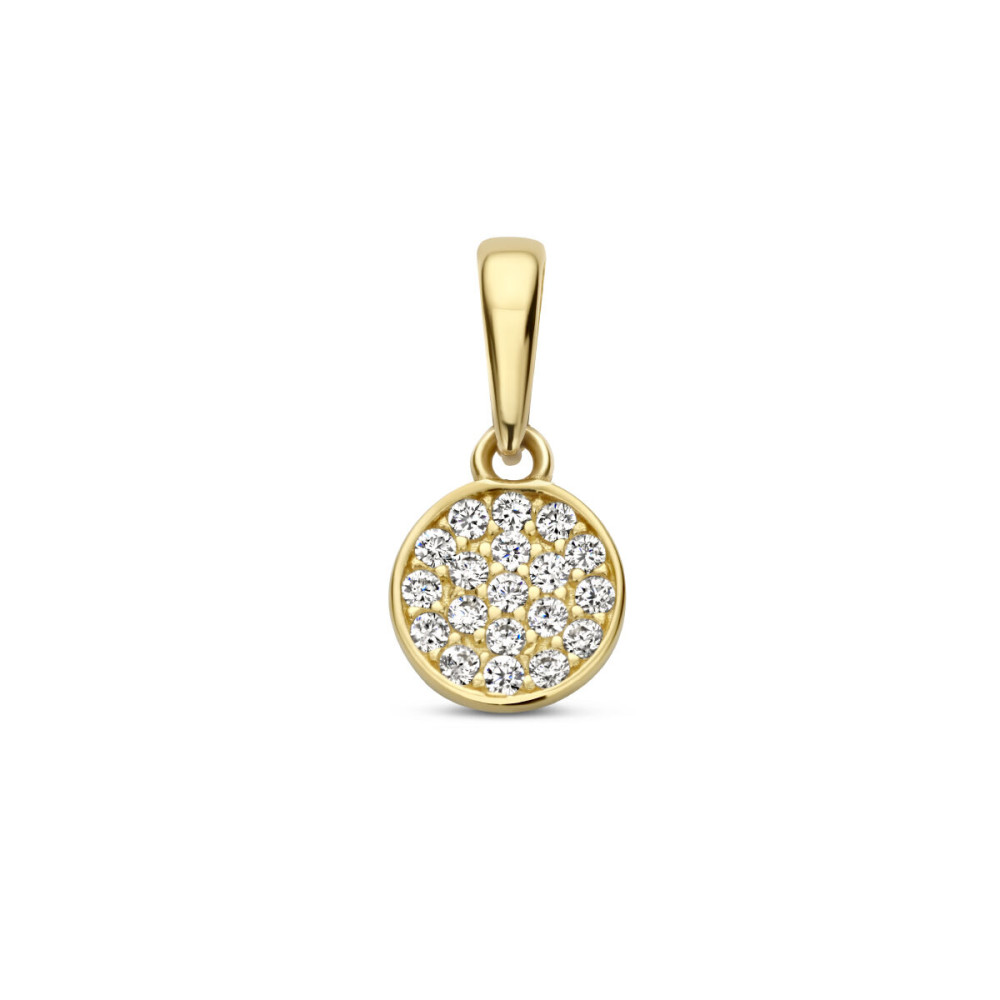 gouden-ronde-hanger-met-transparante-zirkonia-s-6-5-mm-breed-hoogte-13-mm
