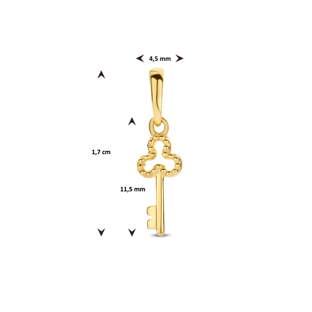 gouden-sleutel-hanger-met-bolletjes-4-mm-hoogte-17-mm