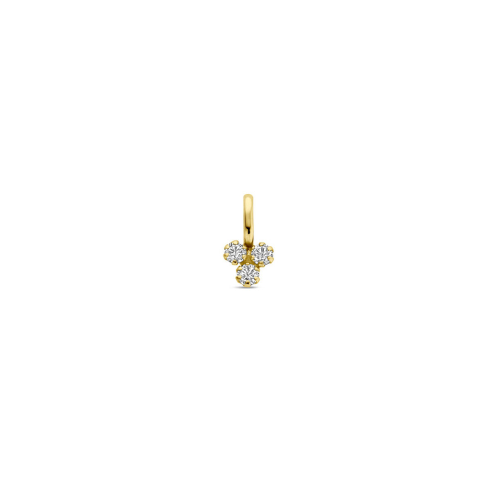 gouden-zirkonia-hanger-van-14-karaat-goud-4-5-mm-breed-hoogte-9-mm
