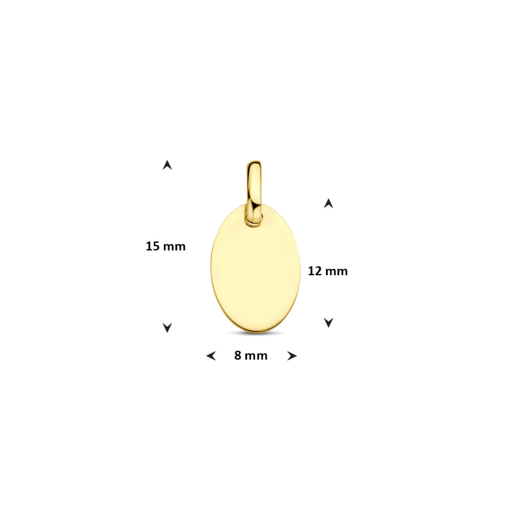 graveerbare-ovale-hanger-dames-9-karaat-goudkleurig-glanzend-8-mm-breed-x-15-mm-hoog