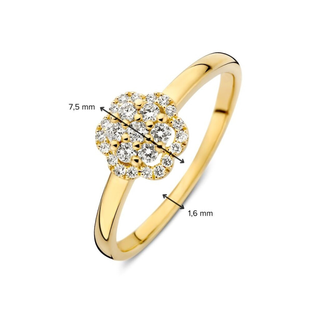 halo-ring-14k-goud-briljant-diamant-0-22-crt-bloem-7-5-mm-breedte