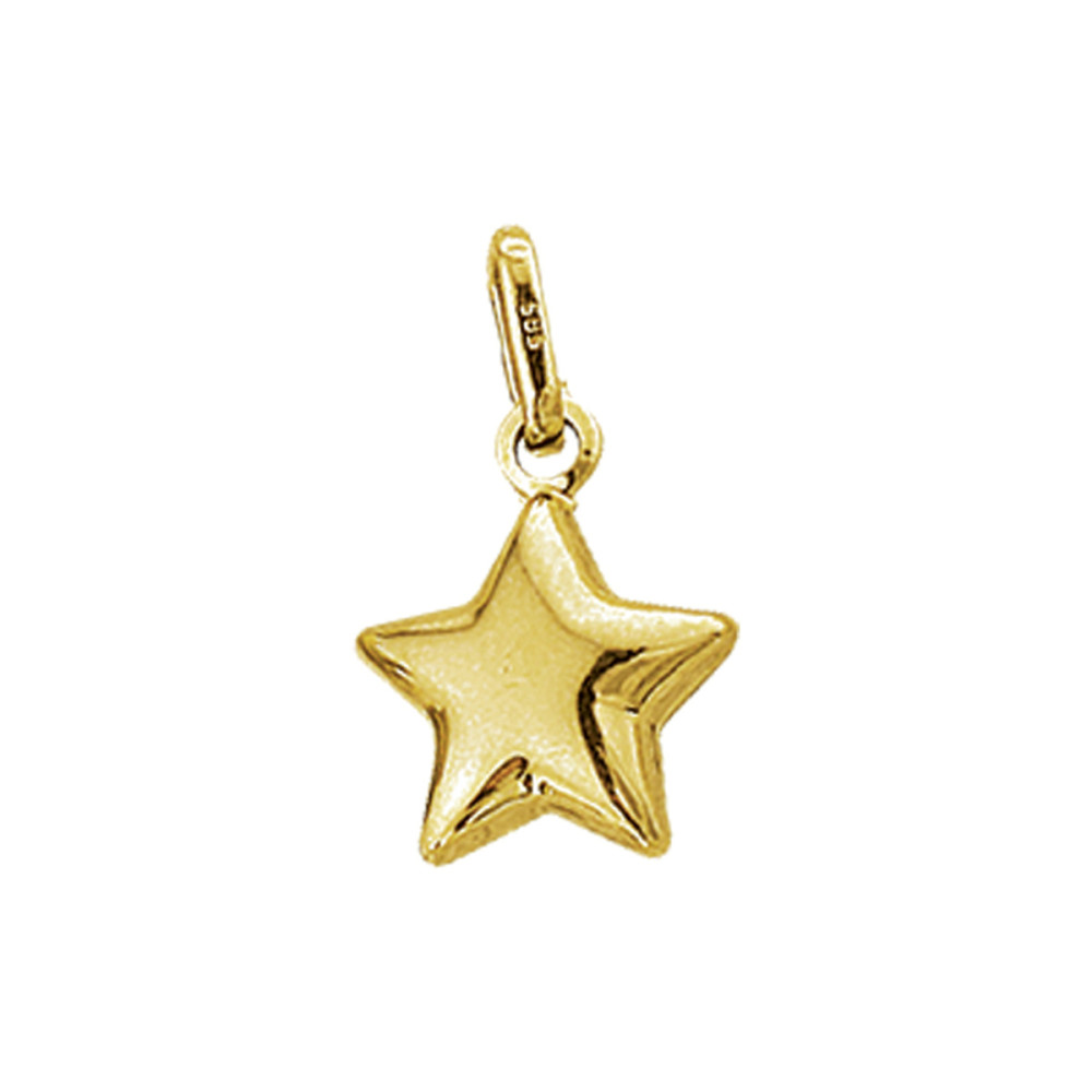 hanger-ster-14-karaat-glanzend-goud-9-mm-breed-x-11-mm-hoog