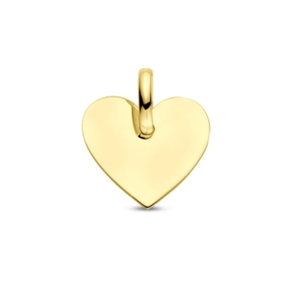 hart-hanger-9-karaat-goudkleurig-graveerbaar-11-5-mm-breed-x-13-mm-hoog