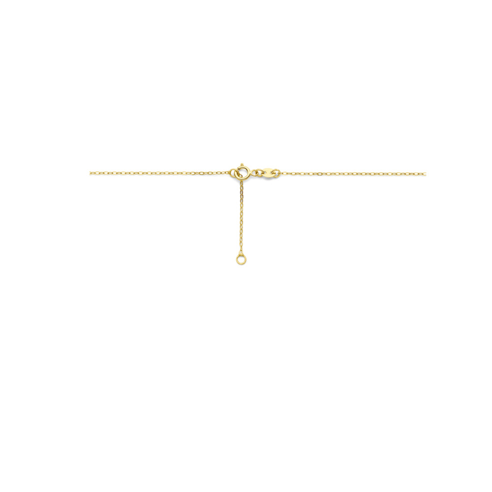 hartje-collier-met-hanger-goud-lengte-42-45-cm