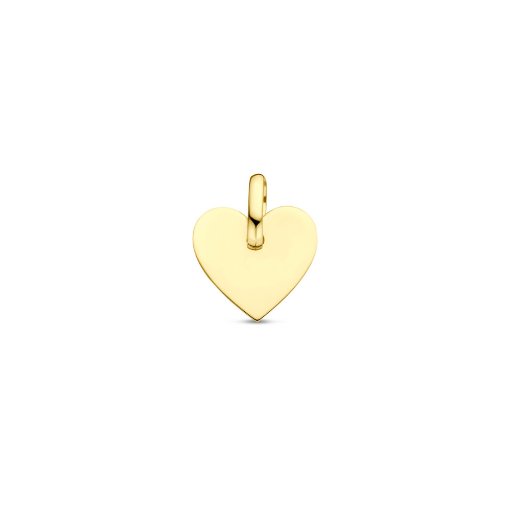 hartjes-graveerhanger-9-karaat-goudkleurig-glanzend-10-5-mm-breed-x-13-mm-hoog
