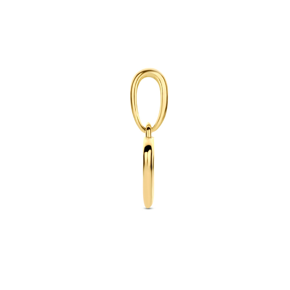 hartjes-hanger-9-karaat-goudkleurig-glanzend-dames-8-mm-breed-x-12-mm-hoog