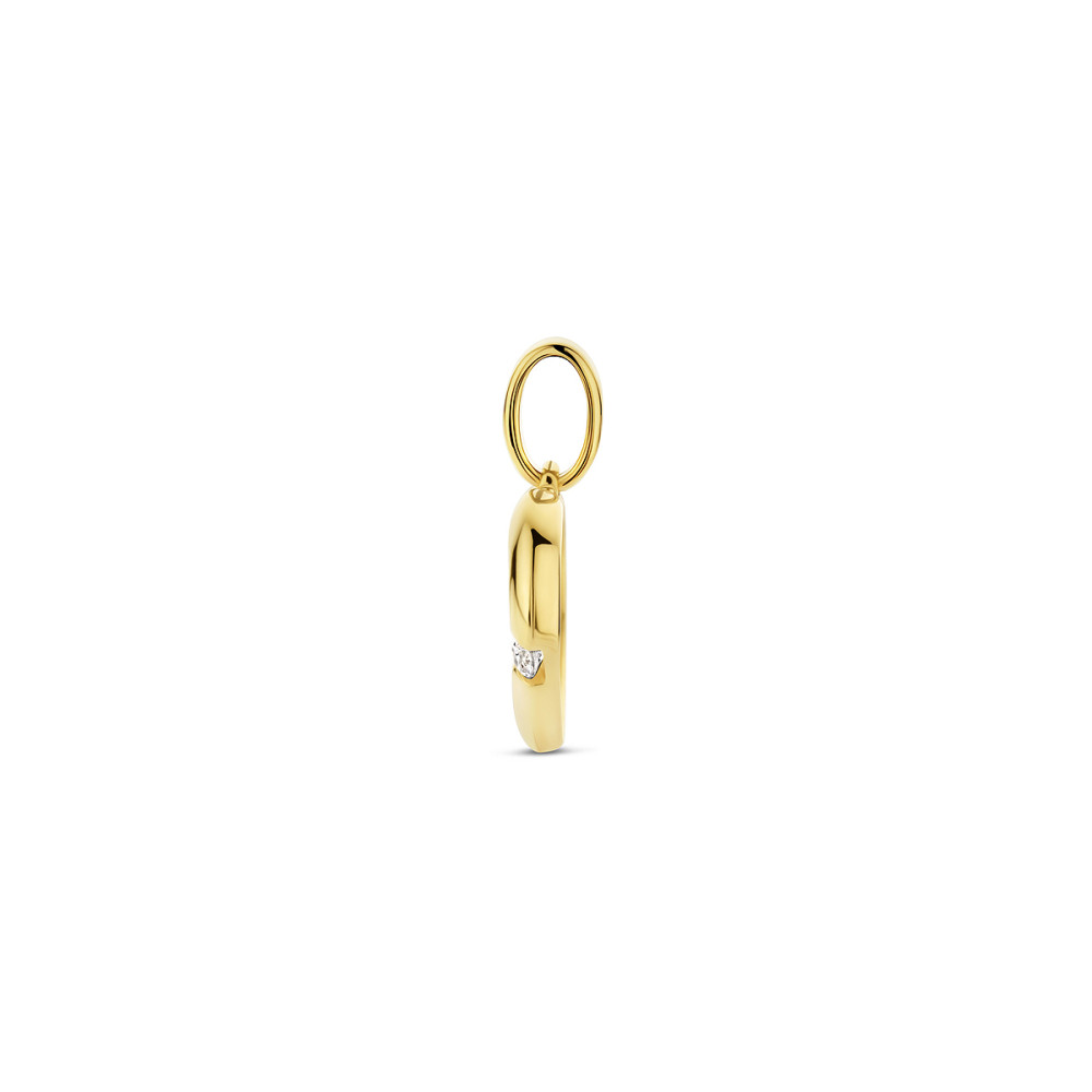 hartjes-hanger-9-karaat-goudkleurig-zirkonia-glanzend-11-5-mm-breed-x-11-mm-hoog
