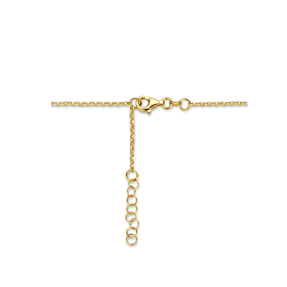 jasseron-paperclip-schakelcollier-14-karaat-goud-lengte-verstelbaar-42-44-cm