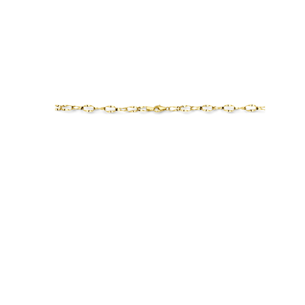 ketting-14-karaat-goud-anker-schakel-glanzend-5-mm-lengte-45-cm