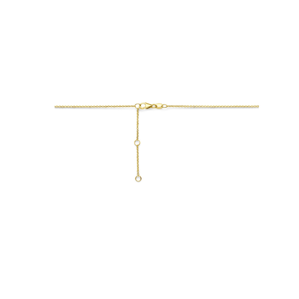 ketting-14-karaat-goud-dubbele-cirkel-hanger-anker-glanzend-lengte-40-42-44-cm