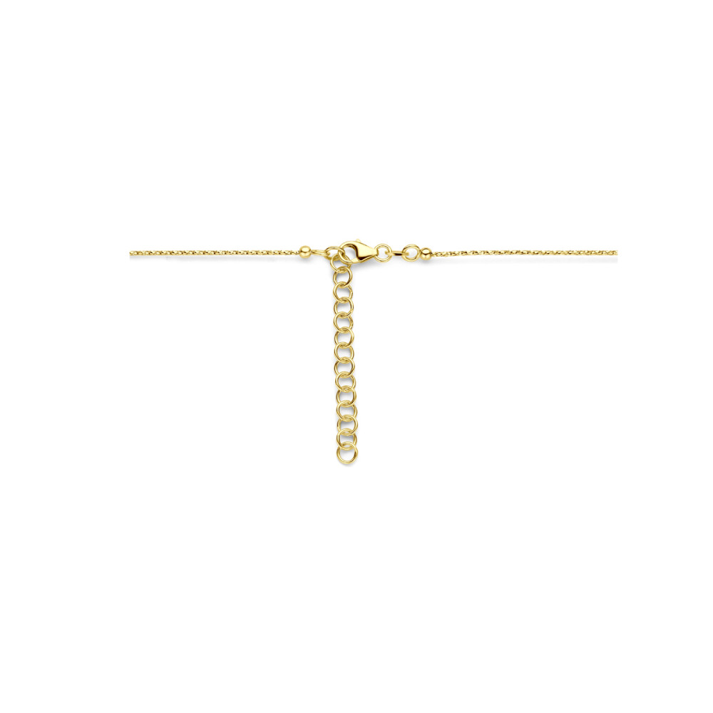 ketting-14-karaat-goud-overige-schakel-glanzend-lengte-40-tm-44-cm