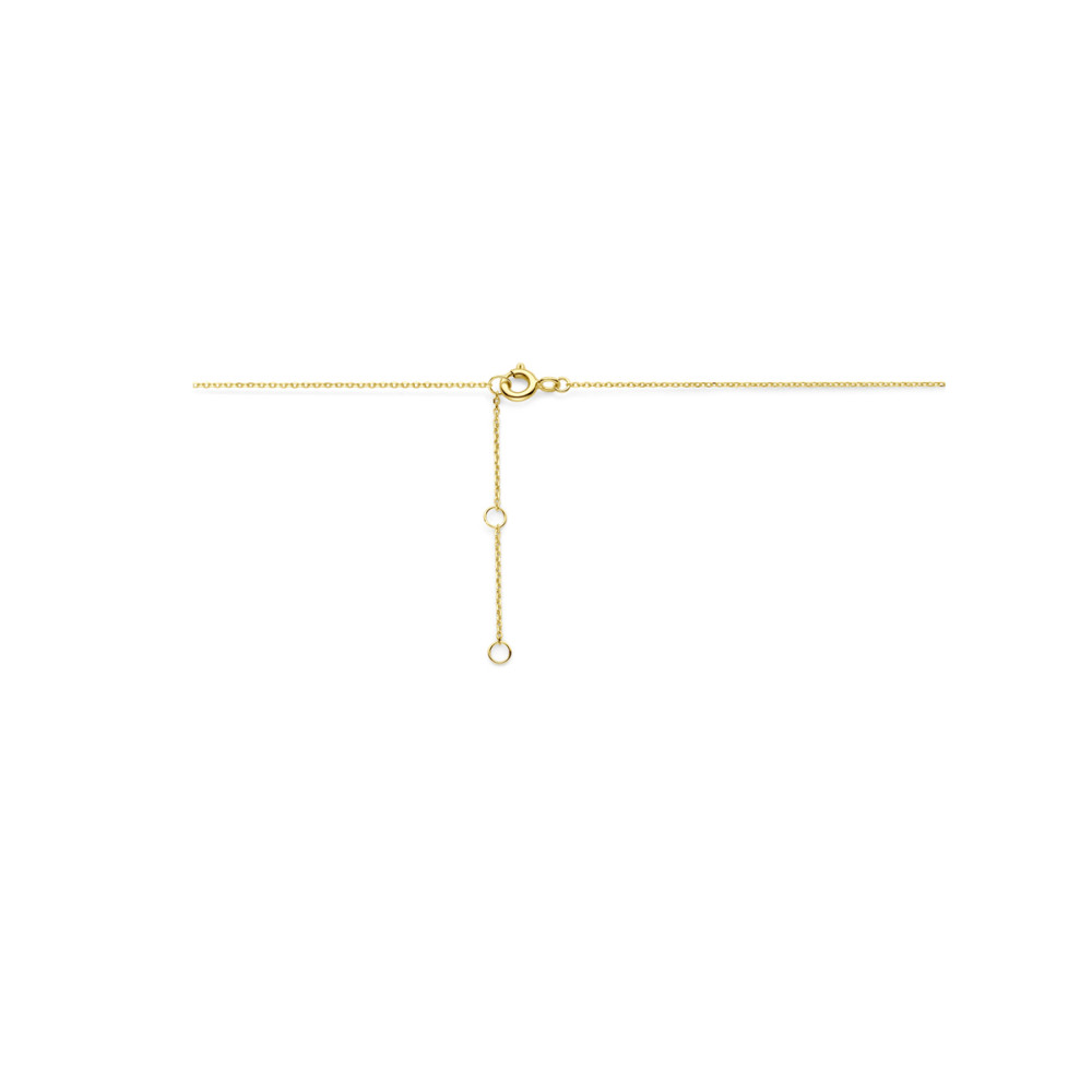 ketting-9-karaat-goudkleurig-verbonden-glanzende-en-zirkonia-cirkel-breedte-0-8-mm-lengte-40-42-44-cm