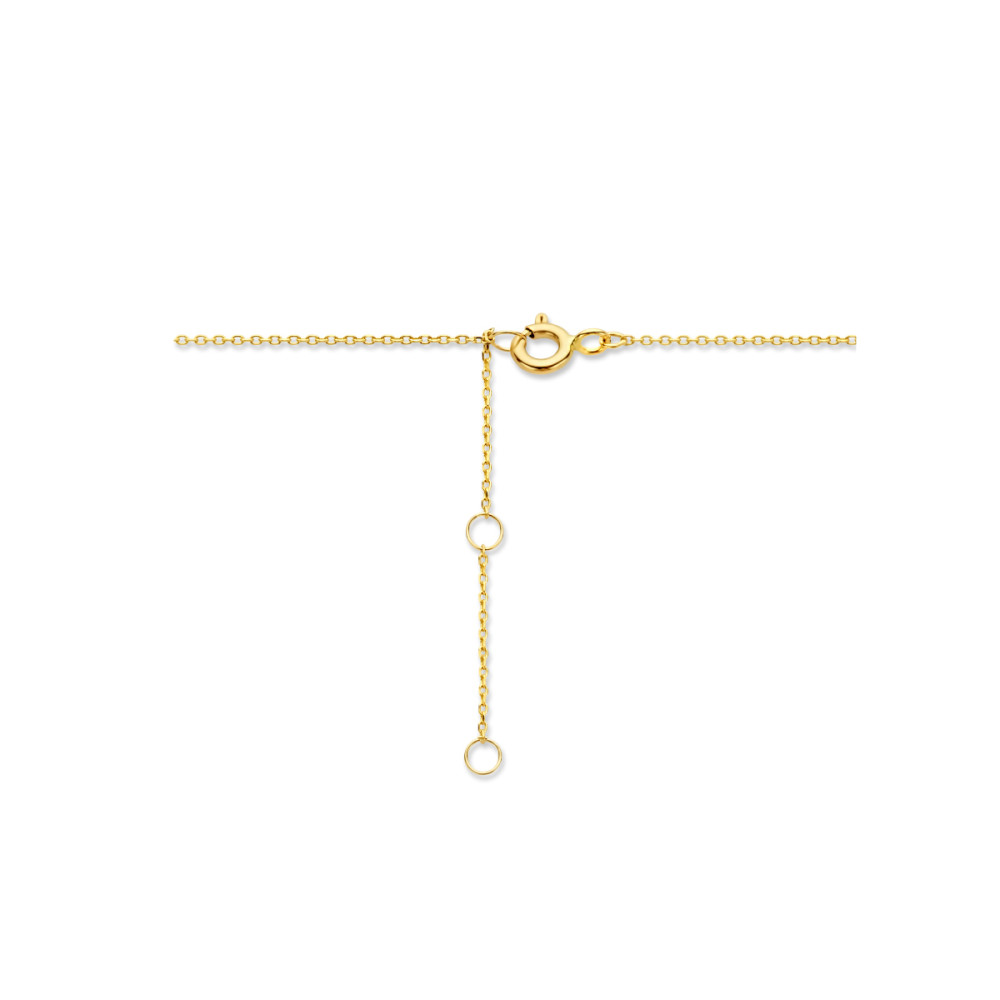 ketting-briljant-geslepen-zirkonia-hanger-9-karaat-goudkleurig-0-8-mm-breedte-lengte-40-42-44-cm