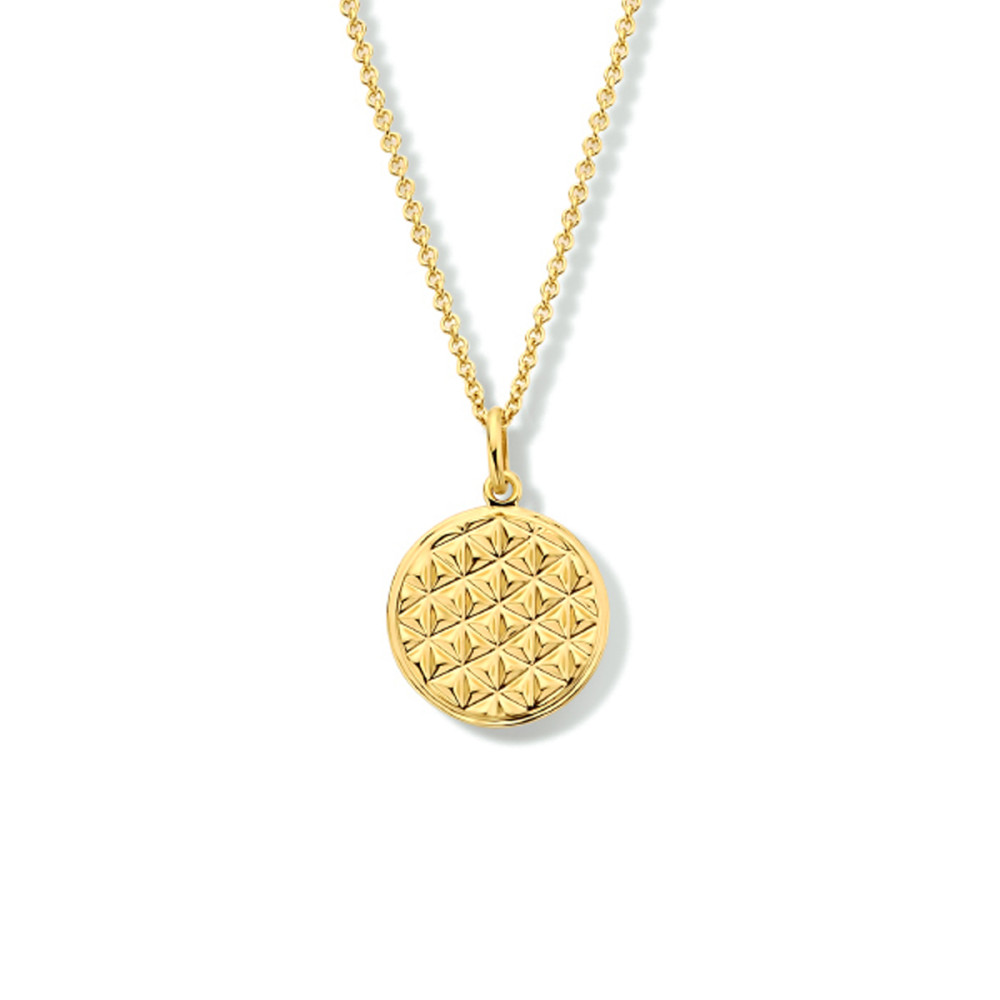 ketting-gold-plated-en-gediamanteerde-cirkel-hanger-15-mm-lengte-42-45-cm