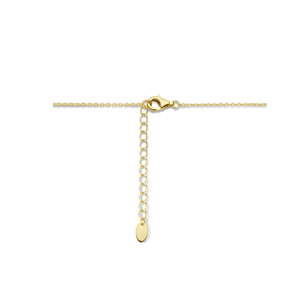 ketting-gold-plated-met-ronde-hanger-gehamerde-textuur-lengte-42-46-cm