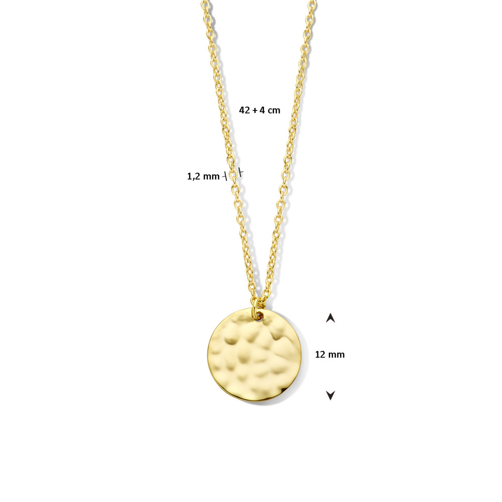 ketting-gold-plated-met-ronde-hanger-gehamerde-textuur-lengte-42-46-cm