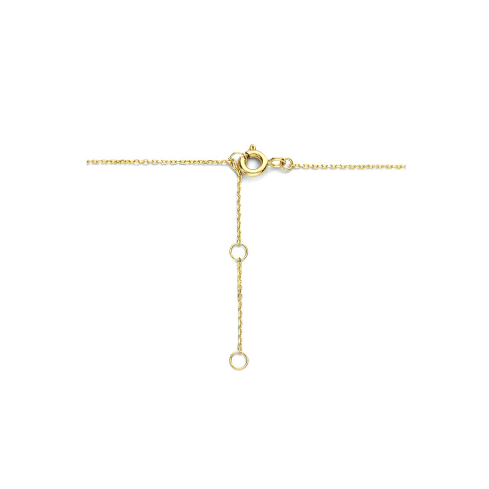 ketting-met-briljante-zirkonia-hanger-en-halo-14-karaat-goud-lengte-40-42-44-cm