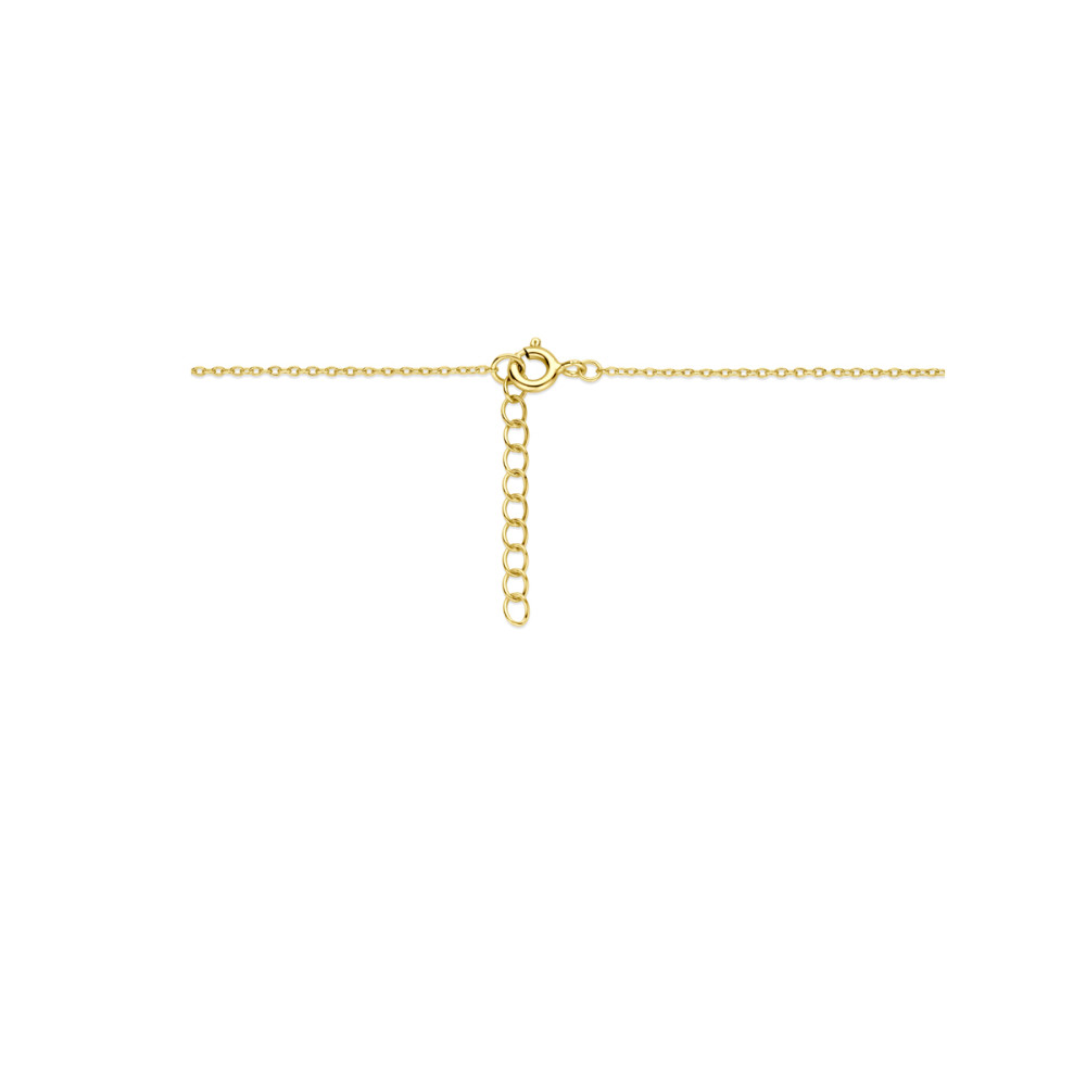 ketting-met-medaillon-hanger-gold-plated-ovaal-parelmoeren-hartje-0-5-mm-breedte-lengte-42-45-cm