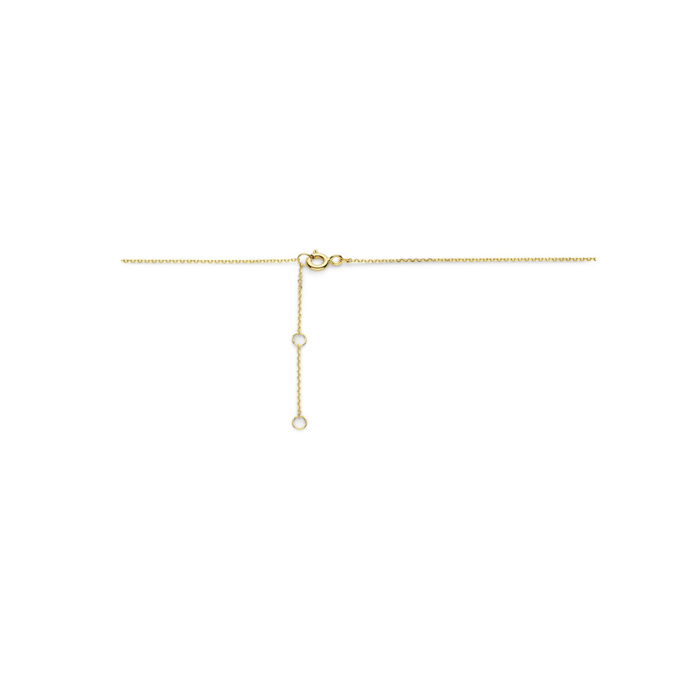liefde-thema-14-karaat-gouden-collier-lengte-verstelbaar-40-44-cm