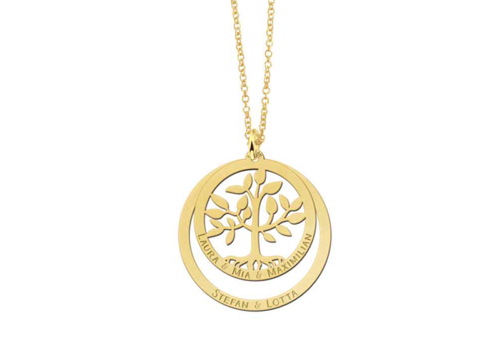 names4ever-14-karaat-gouden-ronde-hanger-met-levensboom-en-namen-diameter-30-mm