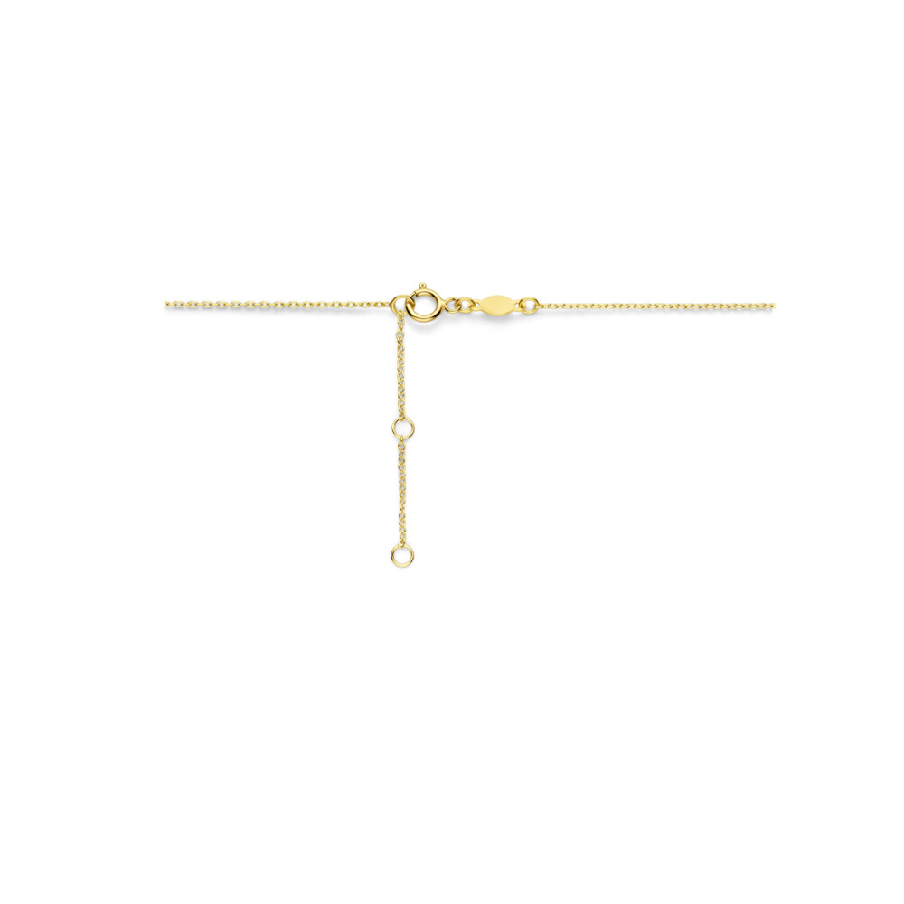olifant-0-8-mm-collier-met-hanger-goud-lengte-verstelbaar-36-40-cm
