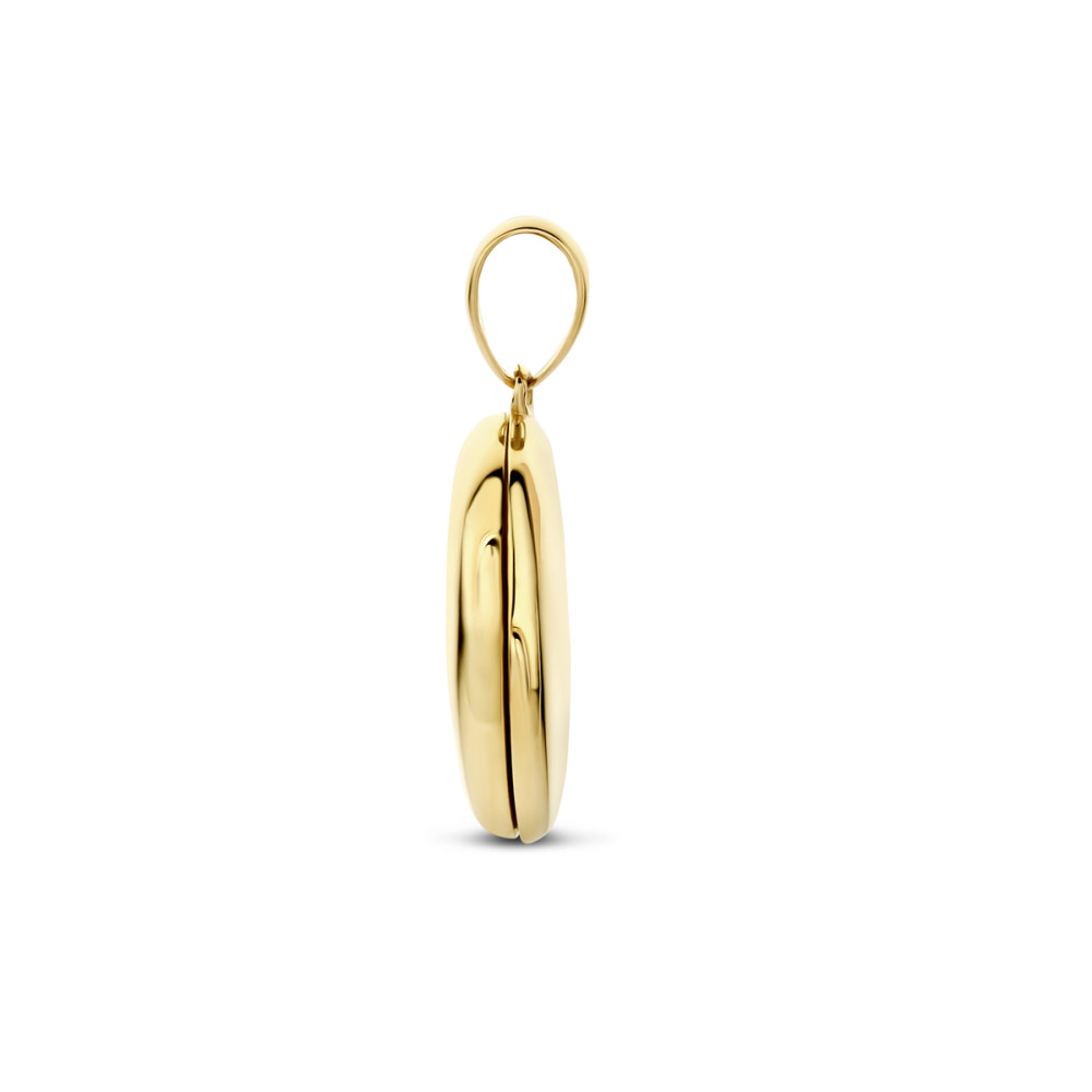 ovaal-medaillon-in-glanzend-14-karaat-goud-10-mm-breed-x-19-5-mm-hoog