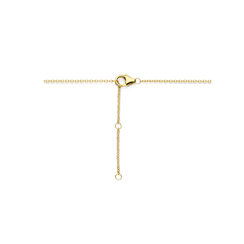 ovale-collier-met-hanger-goud-diamant-lengte-40-44-cm