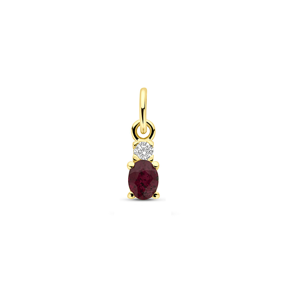 ovale-hanger-14-karaat-met-rode-robijn-en-transparante-zirkonia-12-mm-hoog