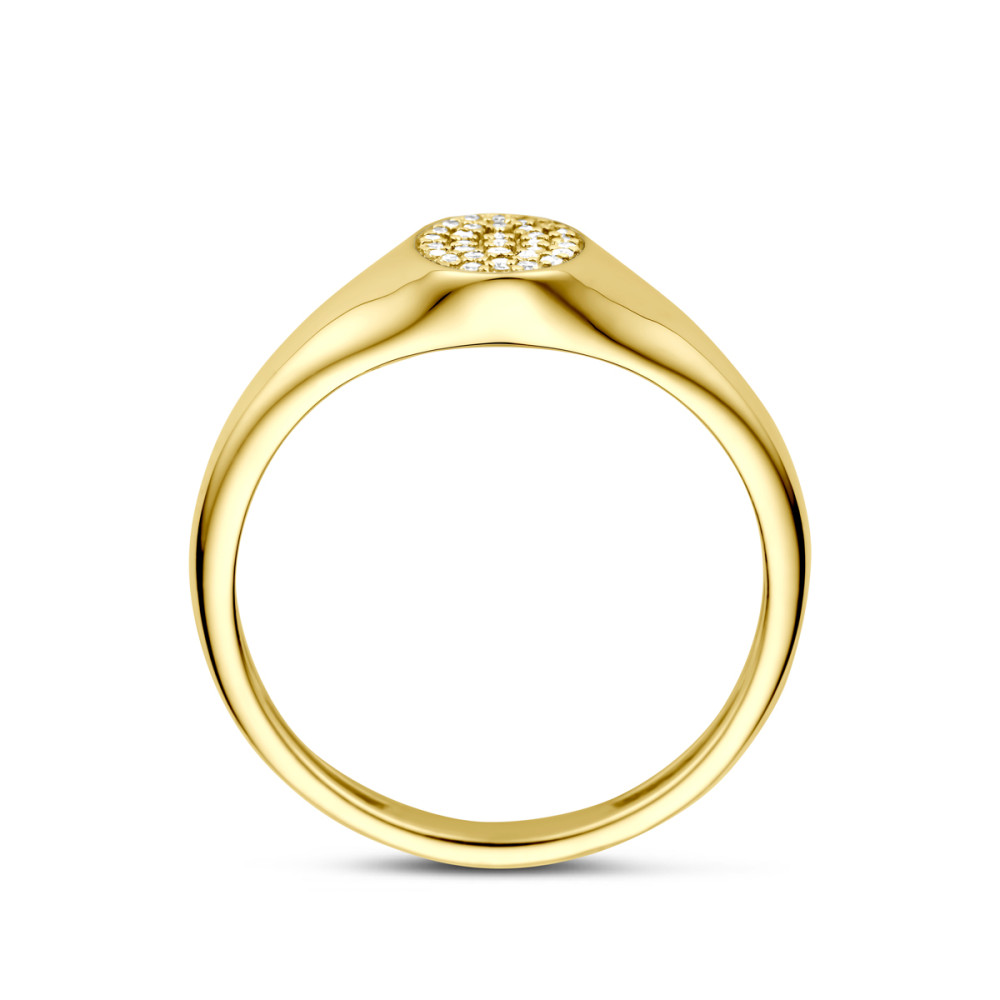 ovale-zegelring-goud-14-karaat-en-briljant-geslepen-diamanten-0-09-crt-8-5-mm-breedte