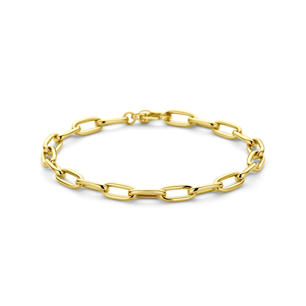 paperclip-schakelarmband-14-karaat-goud-glanzend-5-5-mm-breedte-lengte-19-cm