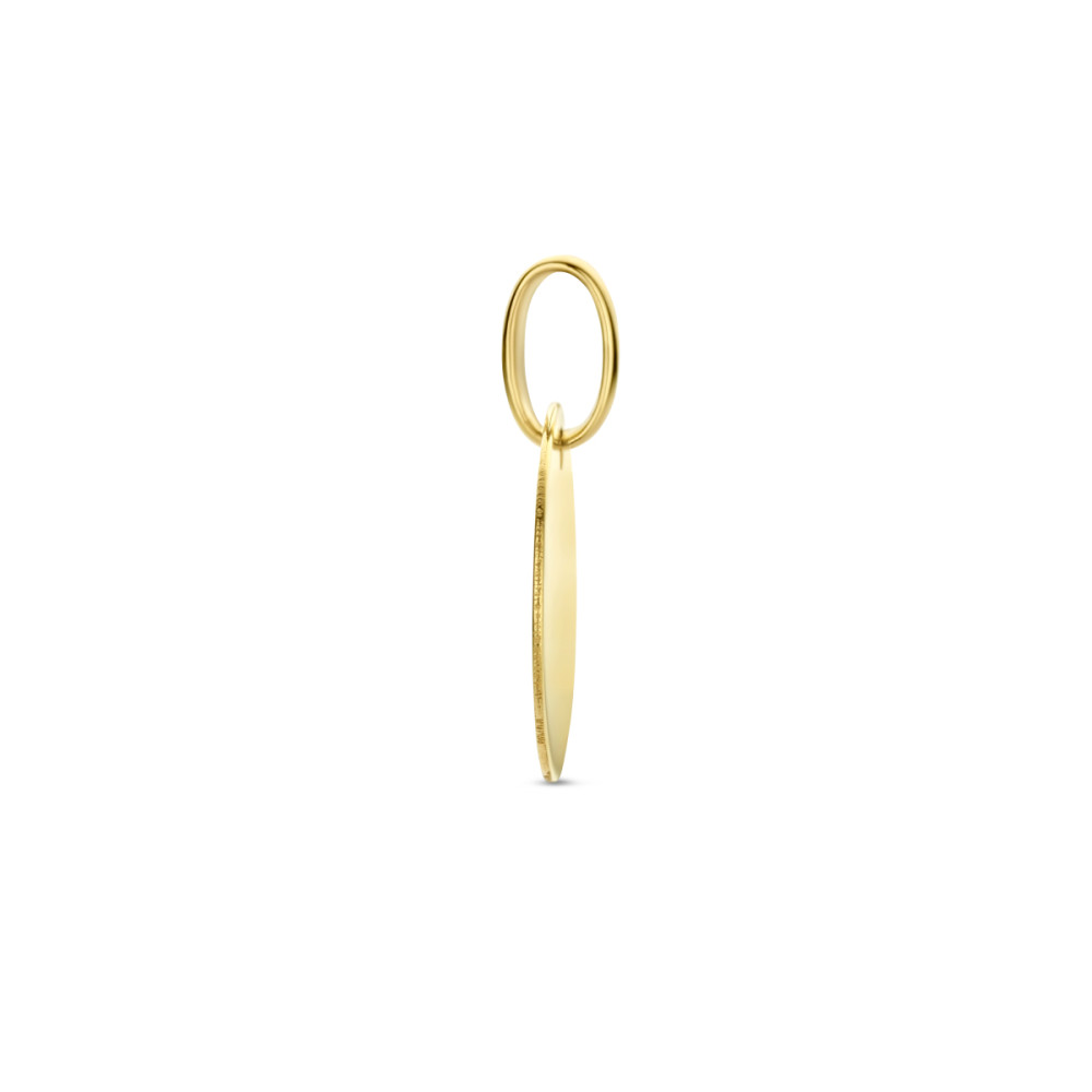 platte-ronde-graveerhanger-van-14-karaat-goud-12-mm-breed-hoogte-17-mm