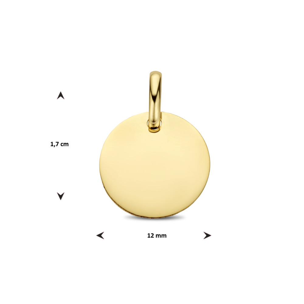 platte-ronde-graveerhanger-van-14-karaat-goud-12-mm-breed-hoogte-17-mm