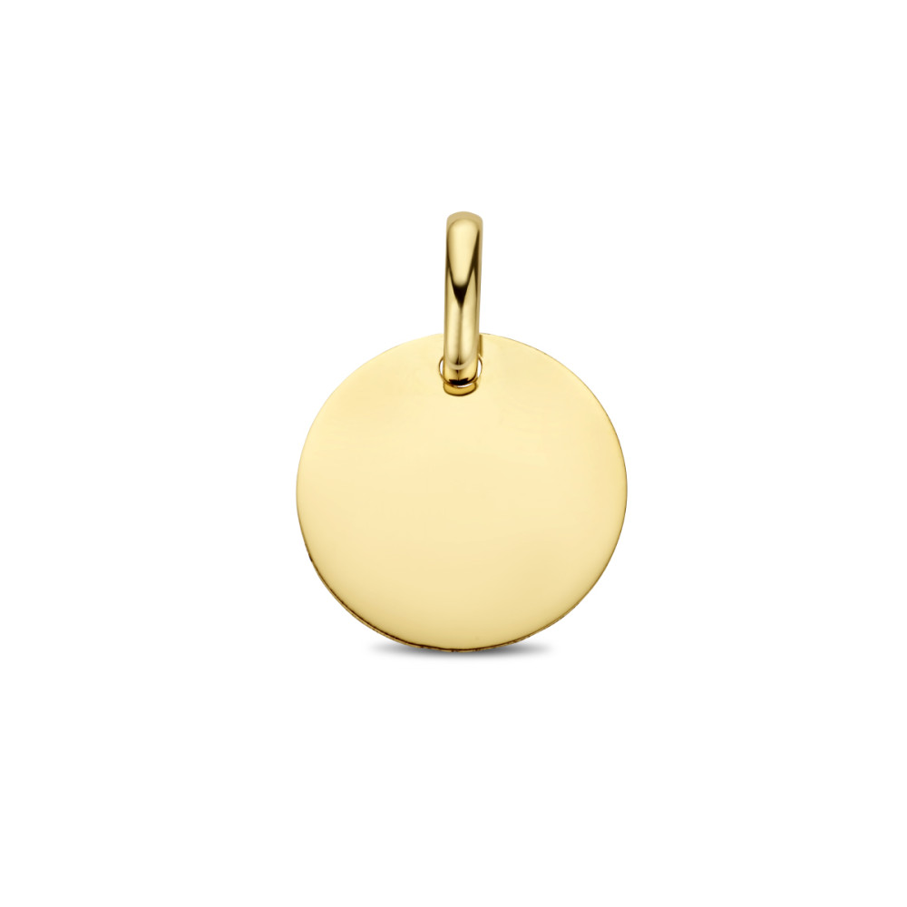 platte-ronde-graveerhanger-van-14-karaat-goud-12-mm-breed-hoogte-17-mm